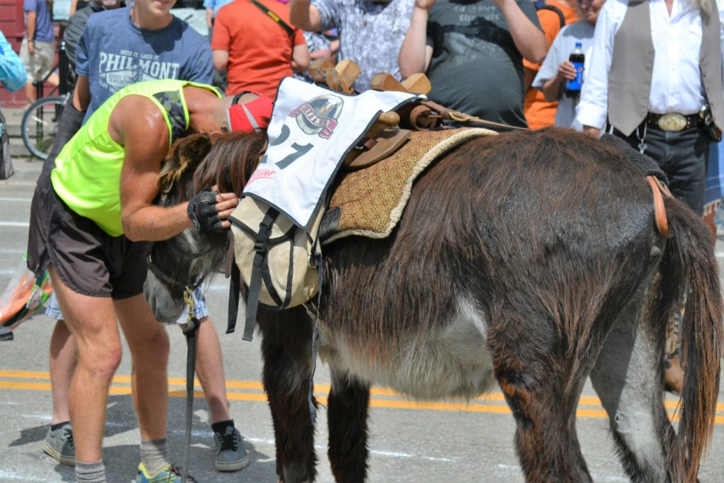Burro Racers Leadville Boom Days